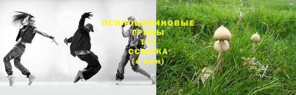 амф Абдулино