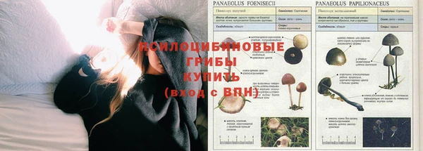 амф Абдулино