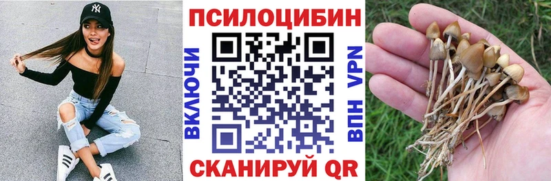 Галлюциногенные грибы Cubensis  Энгельс 